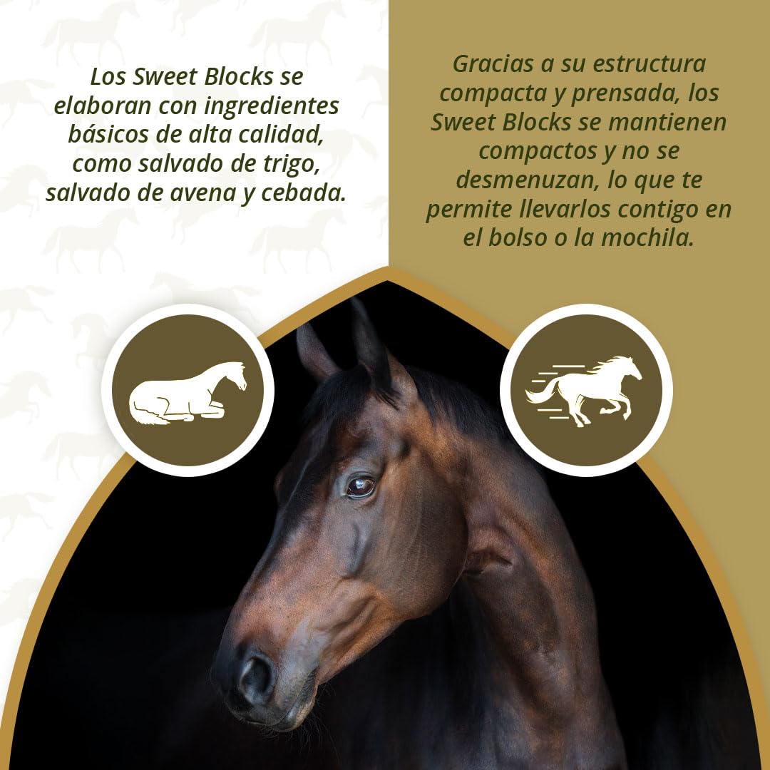 Excellent Horse Sweet Eucalypta Blocks – Caramelos de caballo – Sin azúcar – Caballos – Sabor de eucalipto – Trozos – Recompensa – 1 kg
