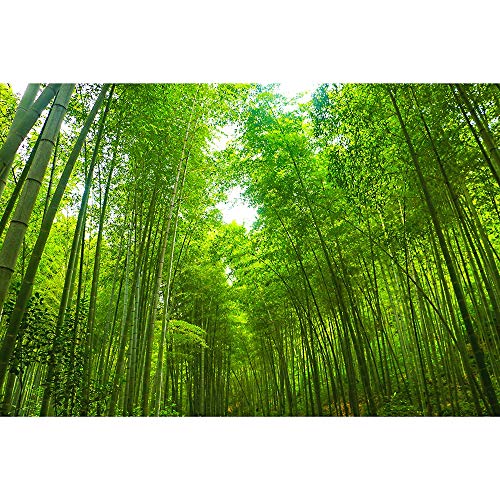 Madera Rompecabezas For El Adulto Verde Fresco Bosque De Bambú Juguetes Educativos Aliviar El Estrés Decoración del Regalo 500/1000/2000/3000/5000/6000 Piezas 0325 (Size : 5000 Pieces)