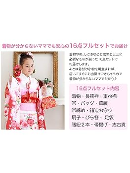 正絹☆レア＆本格的な回廊文様の絵羽に視線釘付け☆5歳から小柄な7歳七五三用祝い着 正絹☆レア＆本格的な回廊文様の絵羽に視線釘付け☆