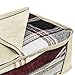 Sorbus Foldable Storage Bag Organizers, Large Clear Window & Carry Handles, Great for Clothes, Blankets, Closets, Bedrooms, and more (3-Pack, Beige)