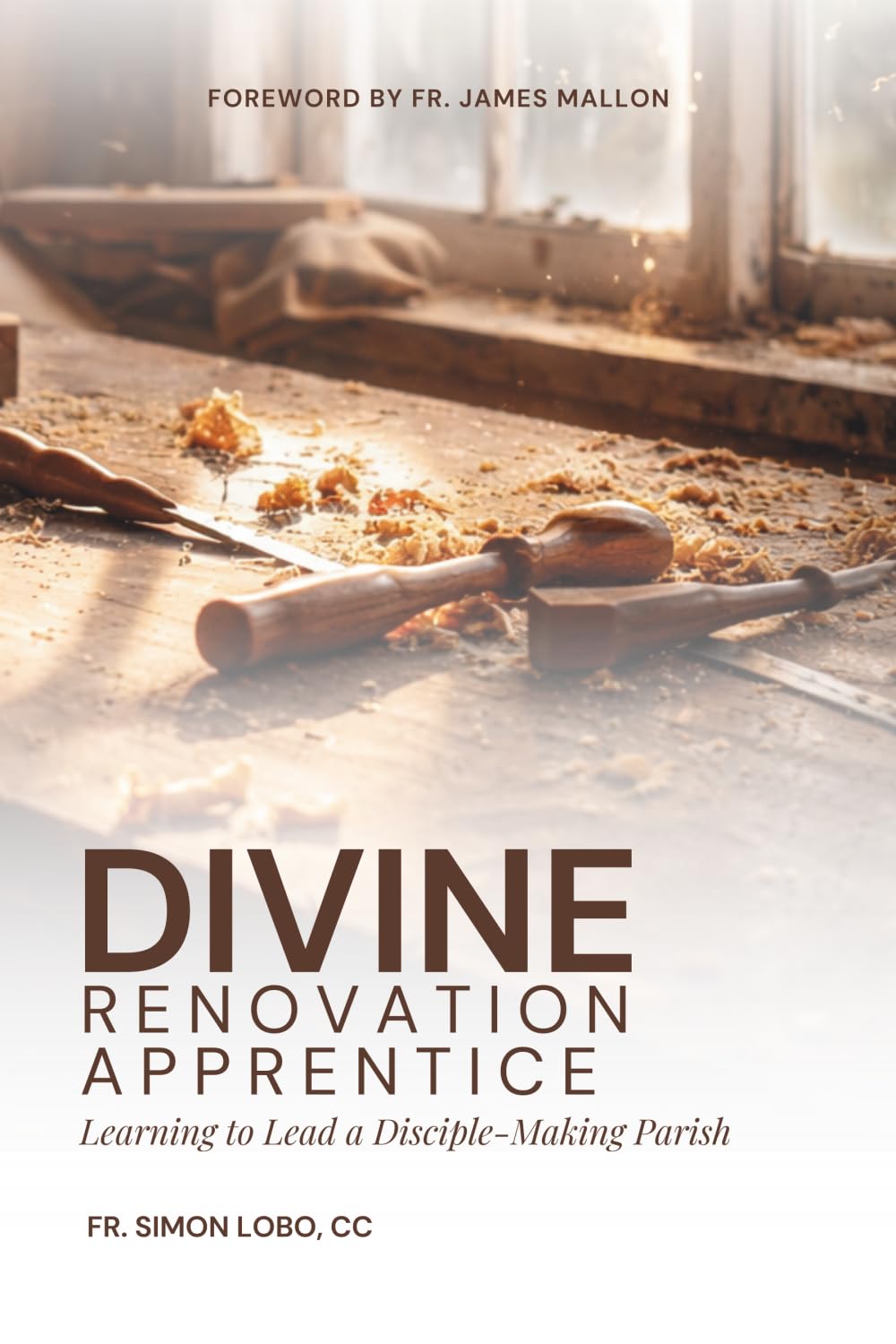 Divine Renovation Apprentice: Learning to Lead a Disciple-Making Parish