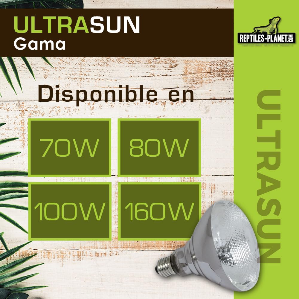 Reptiles-Planet - Ultrasun 100 W - Bombilla UVA UVB para Reptiles