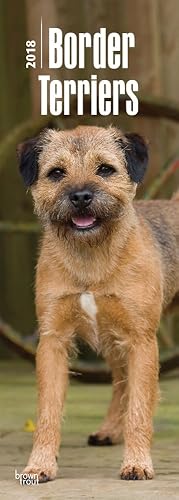 Border Terriers 2018 Slim Calendar