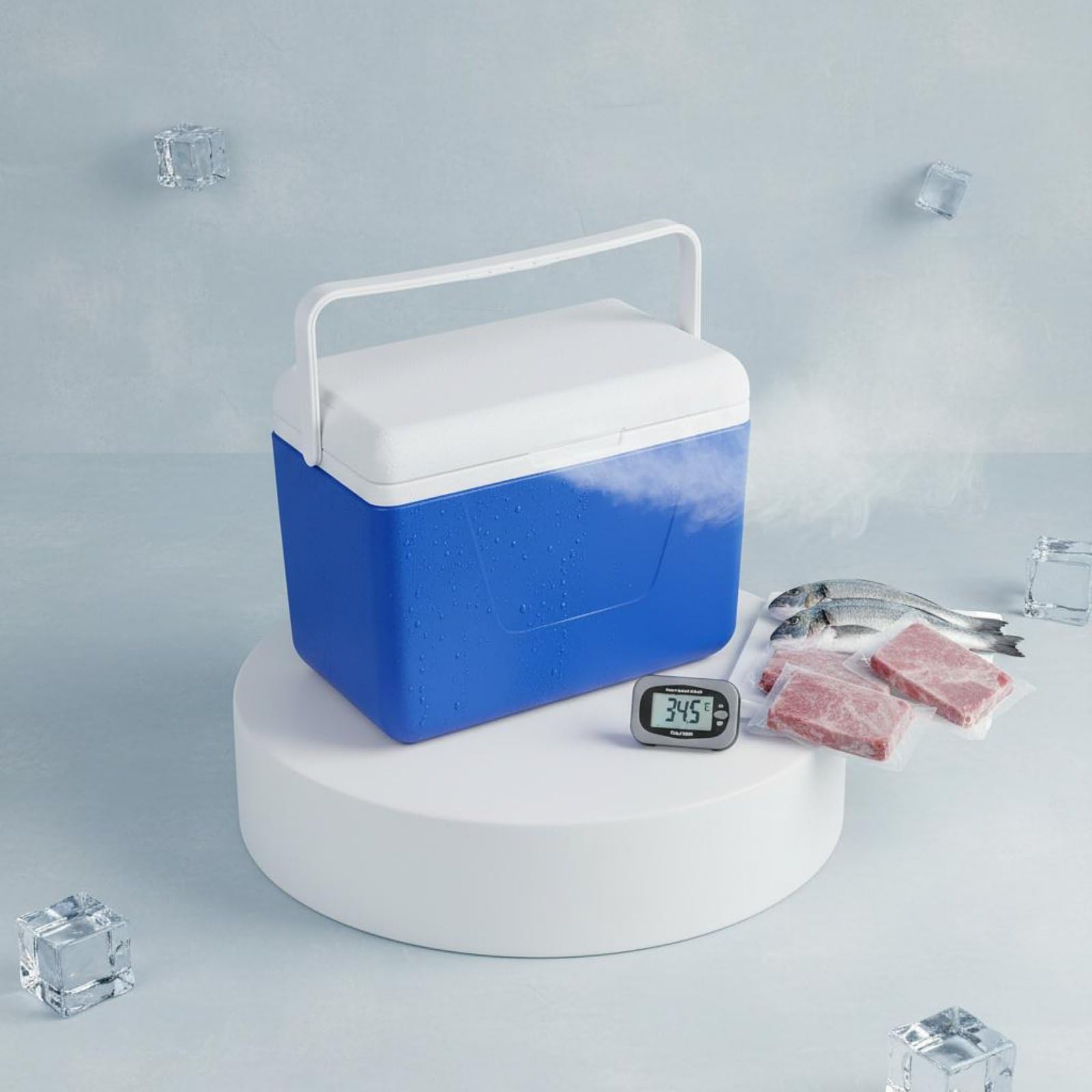 Qianly Cassa Termica da Trasporto Uso Caldo e Freddo Contenitore Isotermico per Alimenti Materiale Resistente Box Frigo Rigido per Consegna Cibo, Auto, Pesca