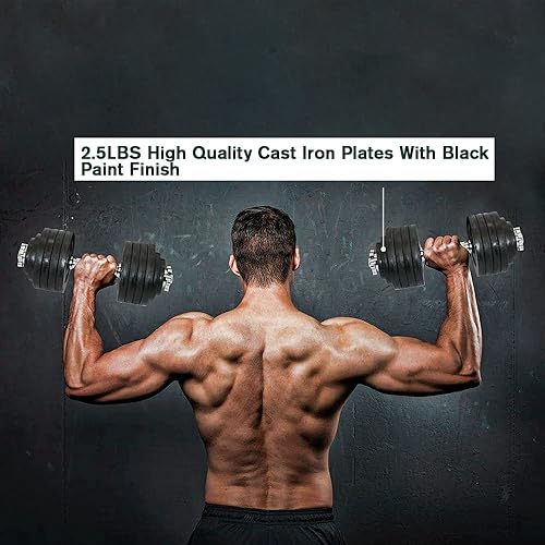 Miniatura 3 de Juego de placas de peso de hierro fundido de 1.14 pulgadas con orificio central para mancuernas, pesas, entrenamiento de fuerza, 1.25 libras, 2.5