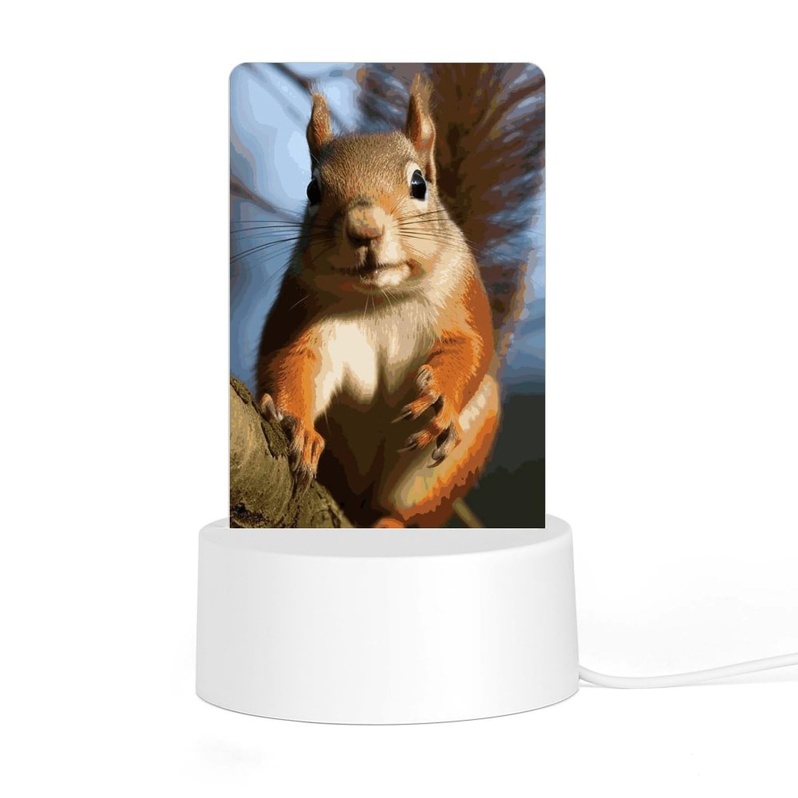 JTREHY Acrylic Night Light with Base, Squirrel Funny Animal Printed Desktop Night Light LED Bedside Night Light for Bedroom, Bathroom, Corridor, Holiday Gift