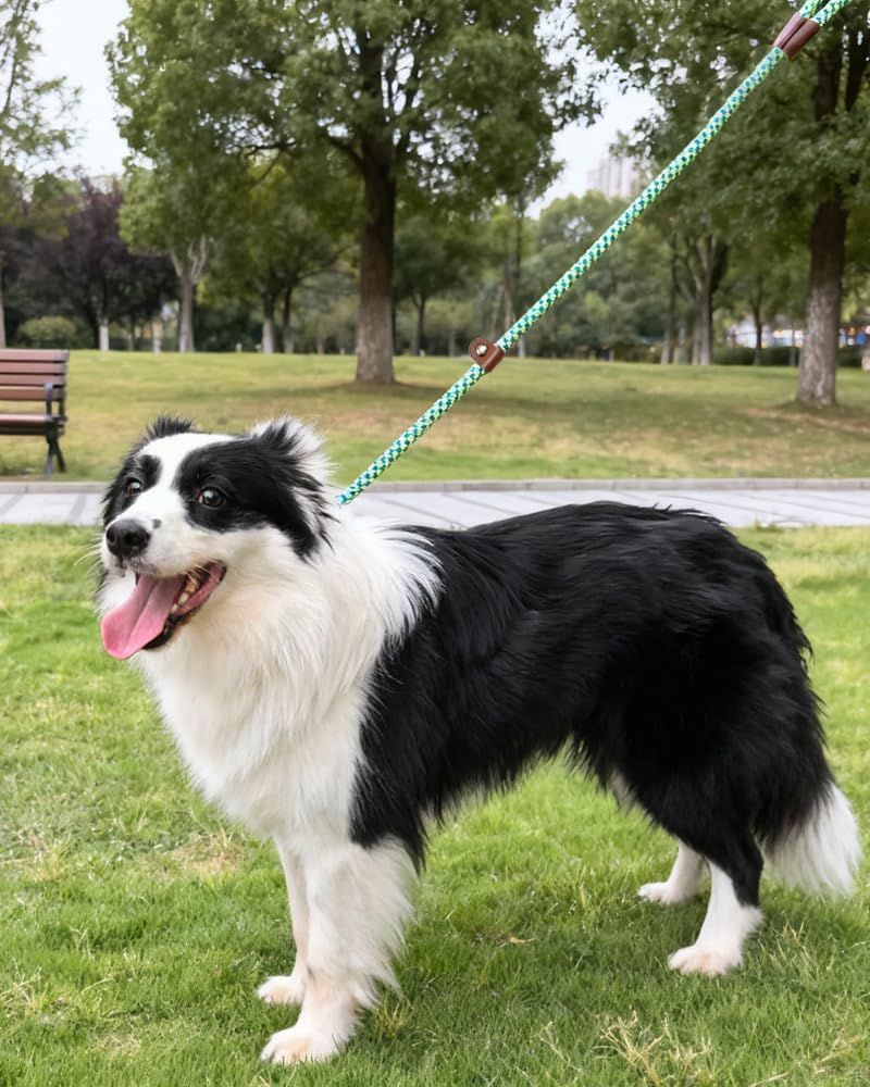 3FT Slip Lead Dog Training Leash, No Pull Dog...