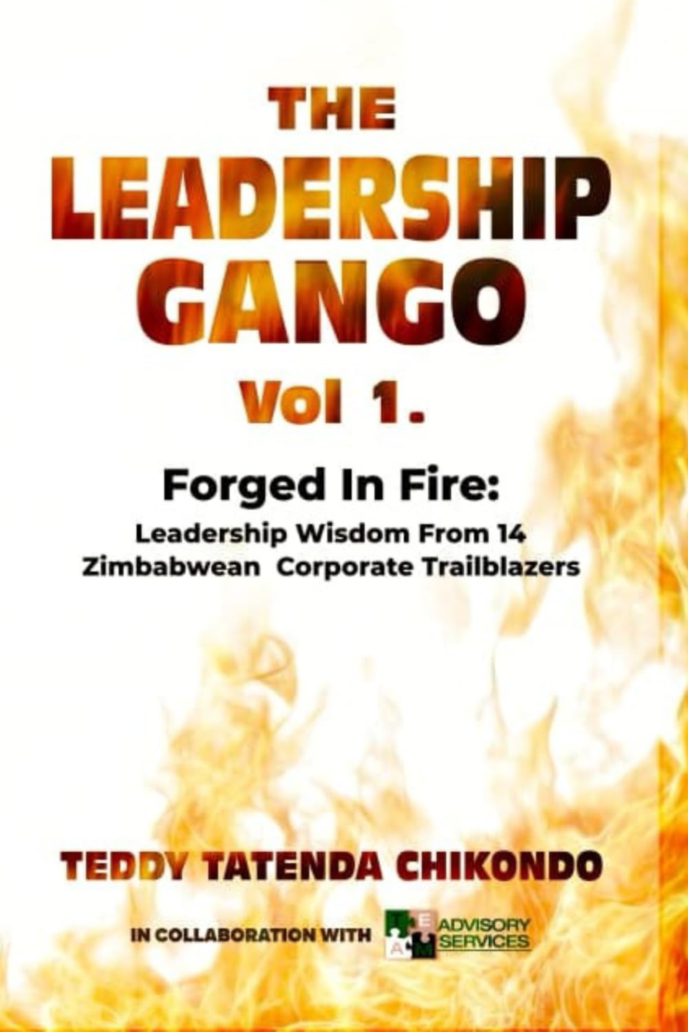 The Leadership Gango, Volume 1: Forged in Fire: Leadership Wisdom from 14 Zimbabwean Corporate Trailblazers