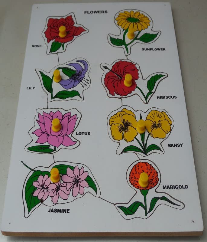 Learn Root Wooden Puzzle | Lift Out Puzzles- Flowers 9"X12" | Educational Leaning Skill Developing Games for Kids
