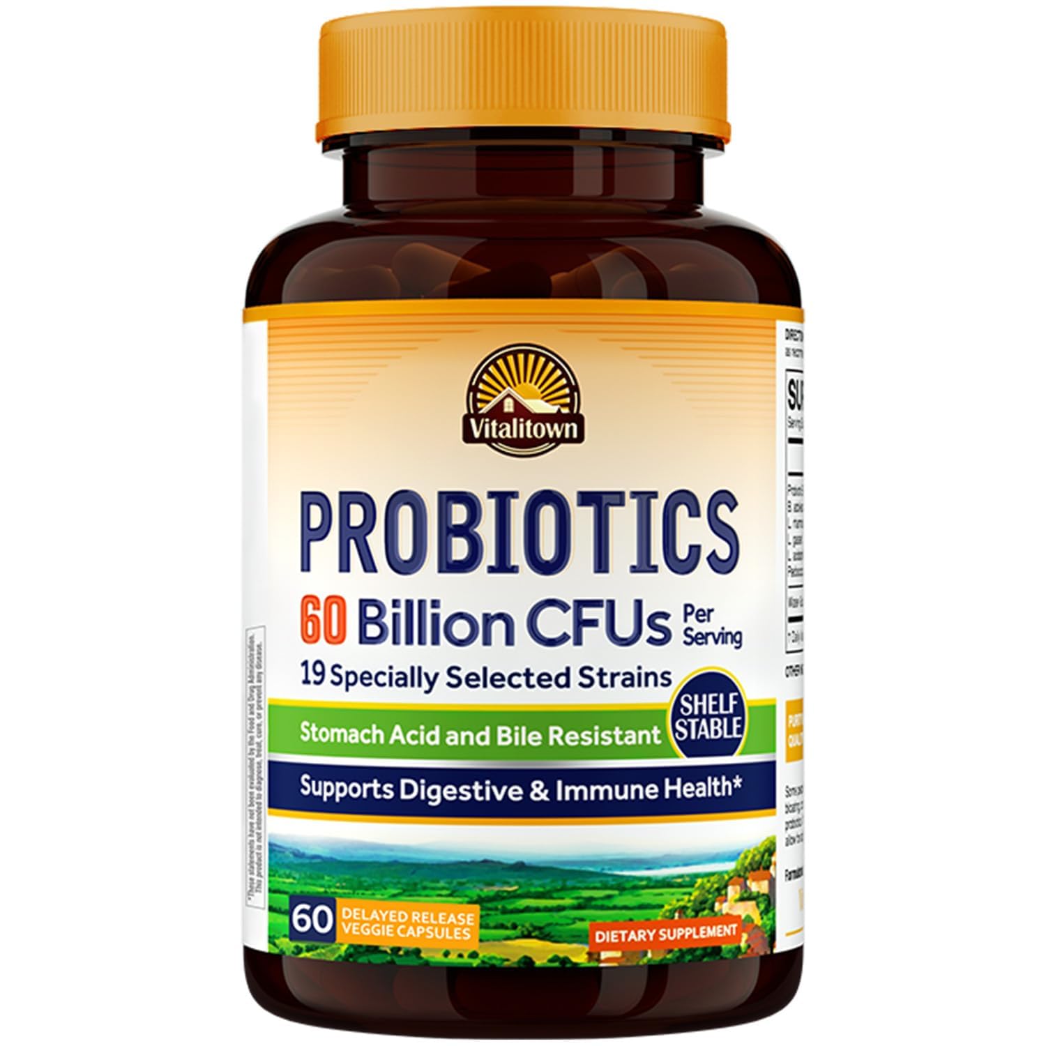 Probiotics + Prebiotics | 60 Billion CFUs 19 Strains | 60 Delayed Release Veg Caps | Shelf Stable, Stomach Acid & Bile Resistant | Digestive & Immune Support | Vegan, Non-GMO, Dairy Free