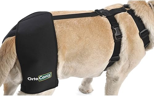 Miniatura 3 de Ortocanis - Soporte de cadera para perros con displasia de cadera u osteoartritis (L)