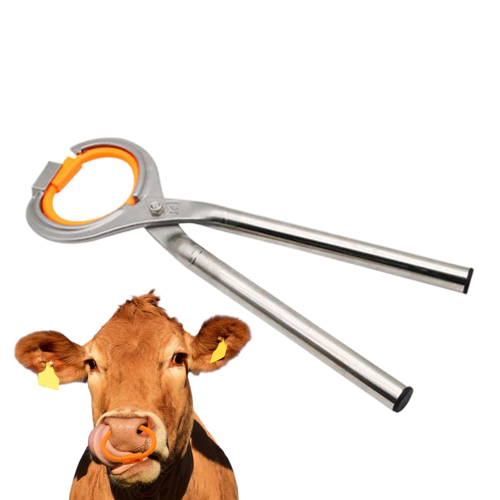 Pinze Tecniche a Naso Tondo per Bovini Attrezzature Zootecniche | Pinze Regolabili In Acciaio Per Allevamento Di Bovini E Fattoria