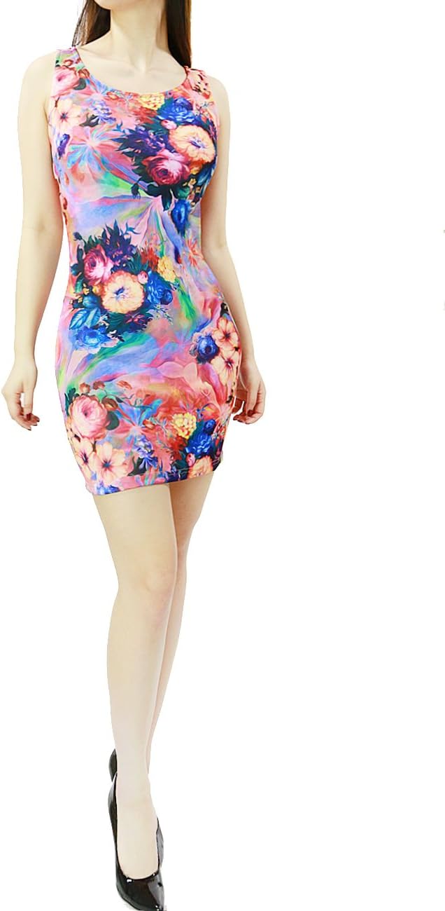 Womens Stretchy Round Neck Floral Psychedelic Print Dress Back Zipper