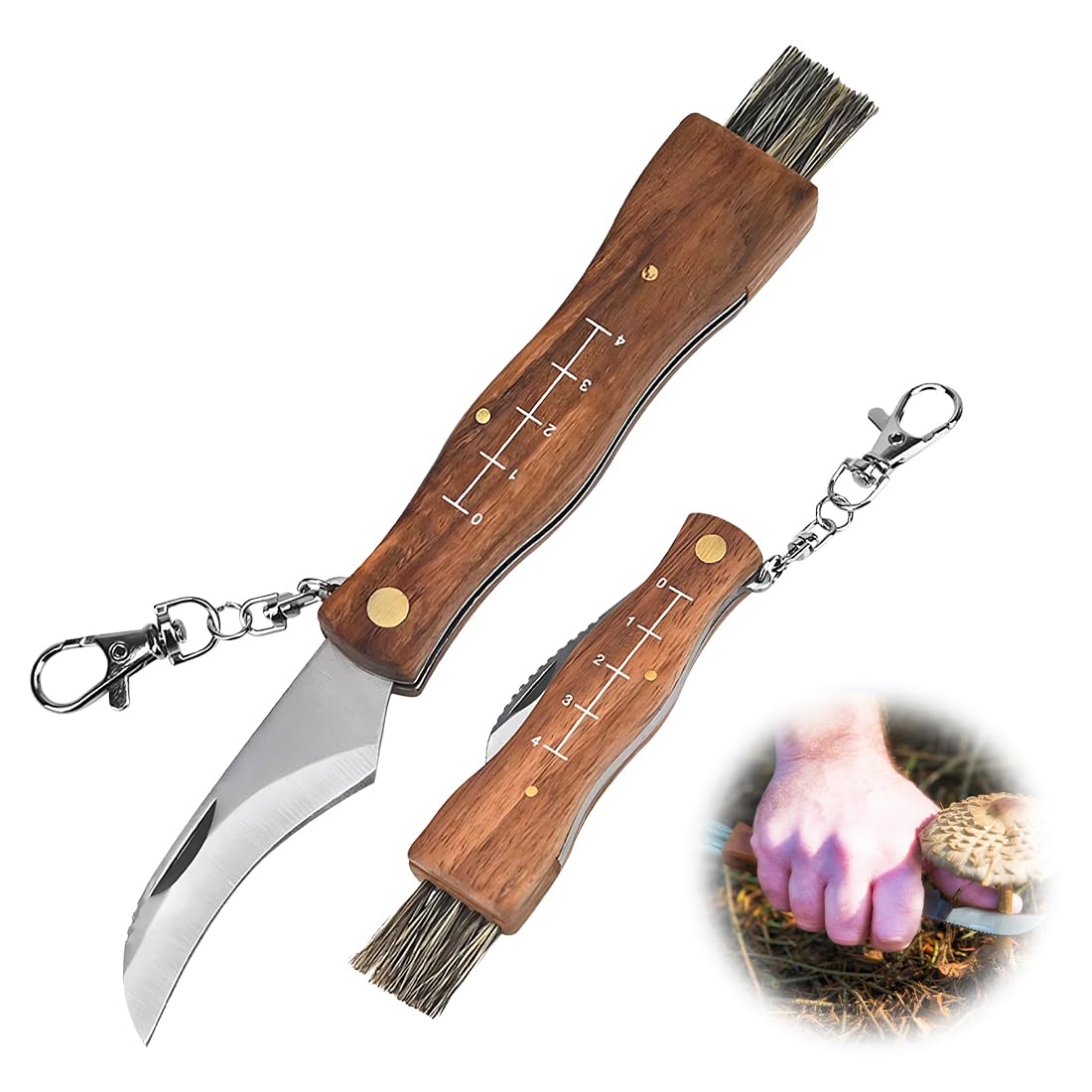 Coltello per Funghi in Acciaio Inox con Spazzola - Raccolta e Pulizia Micologica
