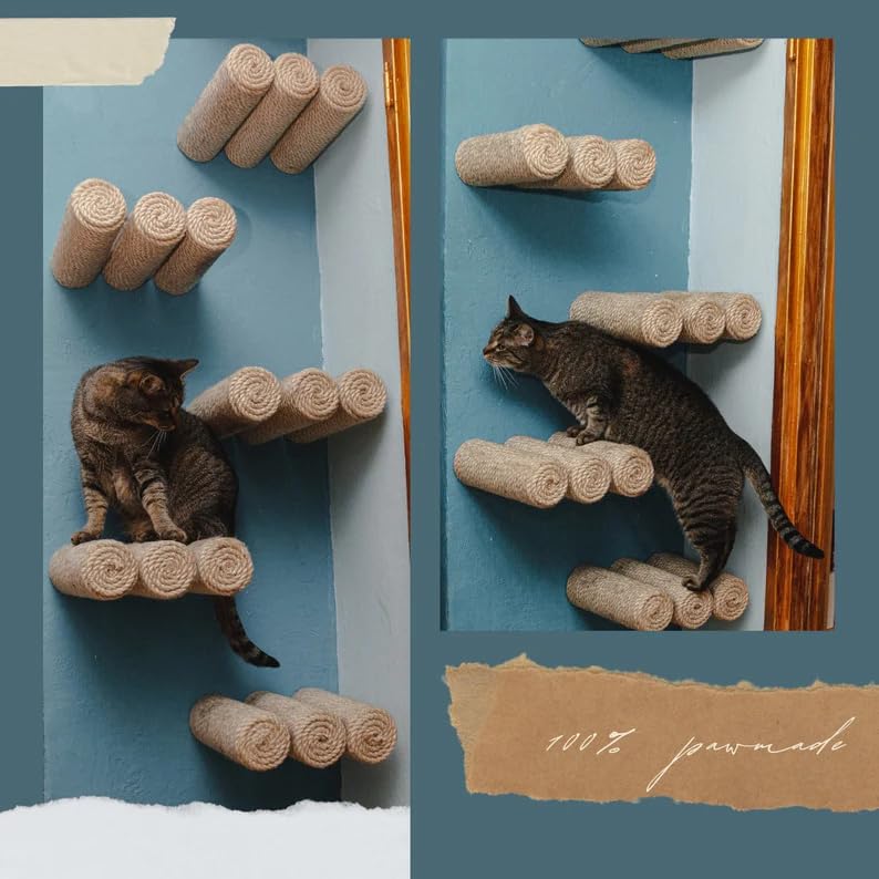 House of Meows Jute Steps/Wall Mount/Scratching Pad/Playing Area Toy/Climbing Toy/Set of 3 Pcs (B0CVQH41NV) Amazon Price History, Amazon Price Tracker