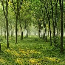 AOFOTO 6x6ft Spring Forest Trees Backdrops for YouTube Videos Nature Country Grass Ground Photography Studio Props Natural Scenery Green Woods Background Girl Boy Adult Art Portrait Photo Shoot Vinyl