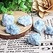 Comidox 10Pcs Blue Calcite Crystals Raw Rough Gemstones Bulk Rough Stones Healing 2-3cm