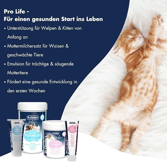 Foto 7 de 8 de Emulsión Gato & Gatito