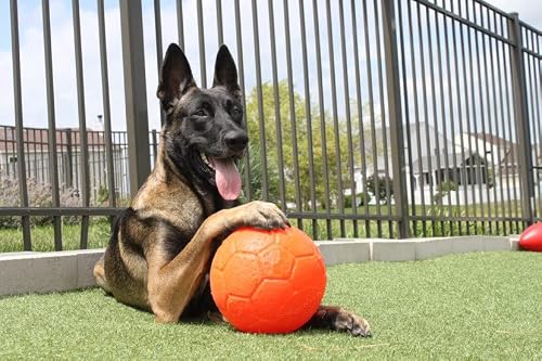 Jolly Pets Large Soccer Ball Floating-Bouncing Dog Toy, 8 Inch Diameter, Orange #TOP2