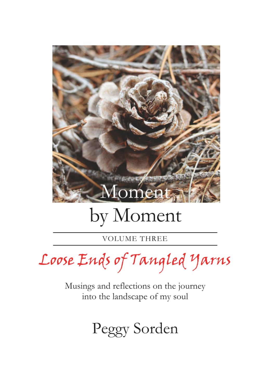Loose Ends of Tangled Yarns: Musings and reflections on the journey into the landscape of my soul (Moment by Moment)