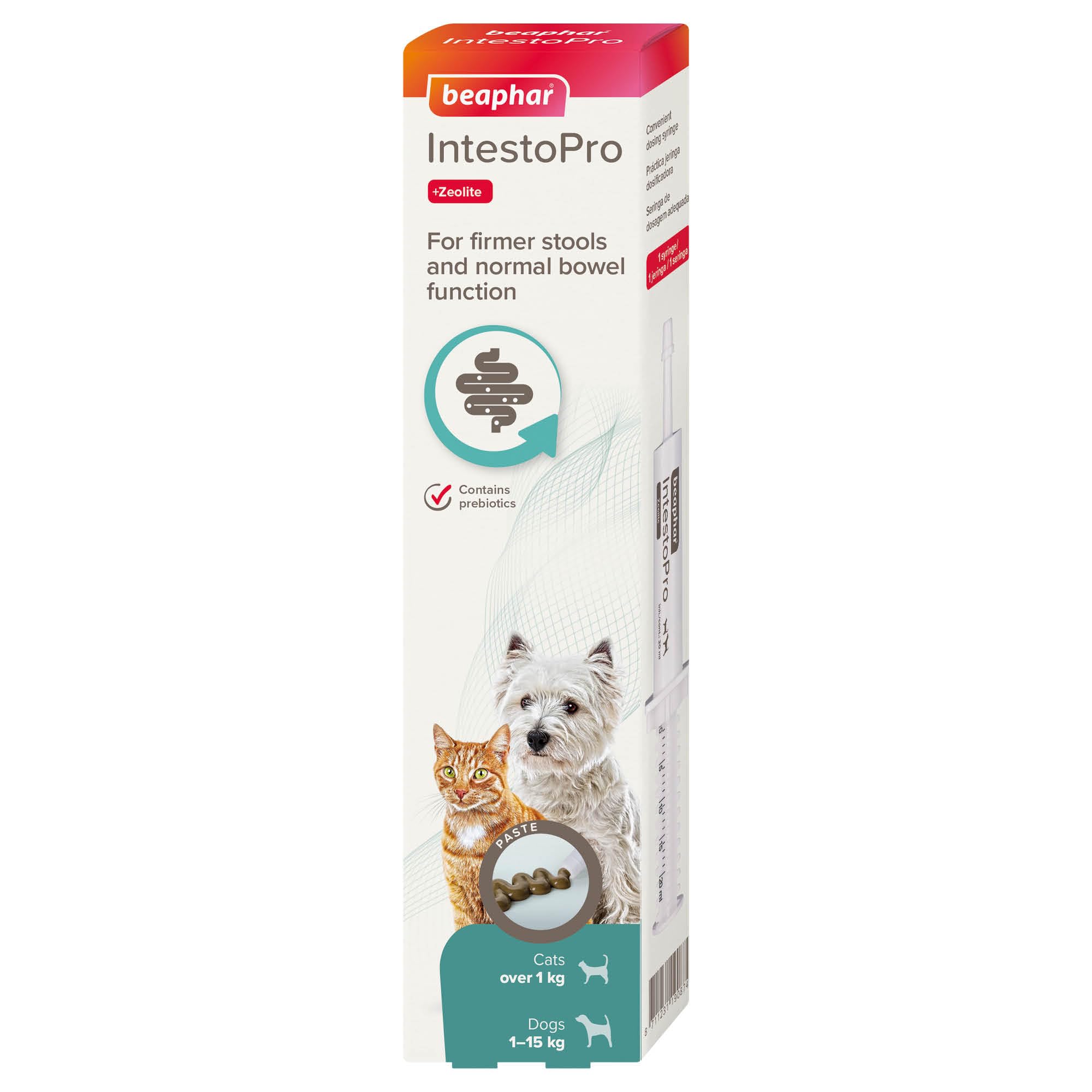 Beaphar – IntestoPro Prebiotic Stool Firming Paste for Cats and Small Dogs (<15kg) – Natural Active Ingredients – Aids digestive upsets and diarrhoea - Supports Healthy Gut Function – 1 syringe
