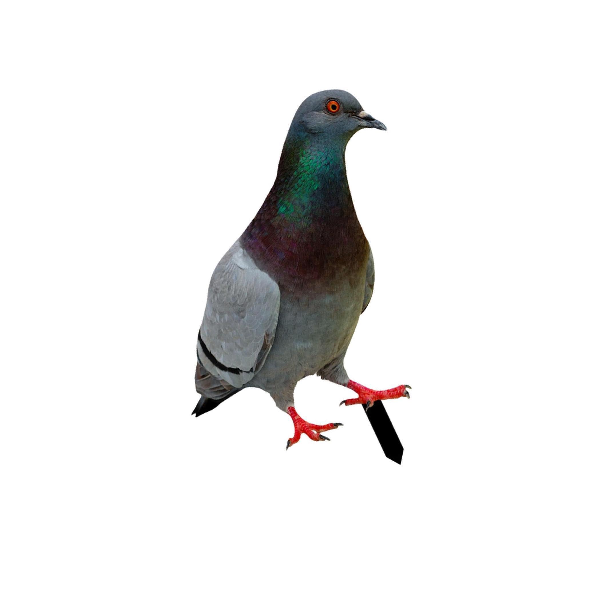 ALCXAZS Delightful Fairy Garden Stake Standing Decoration Animal Statue for Outdoor Lawn Yard Backyard Decorations Wild