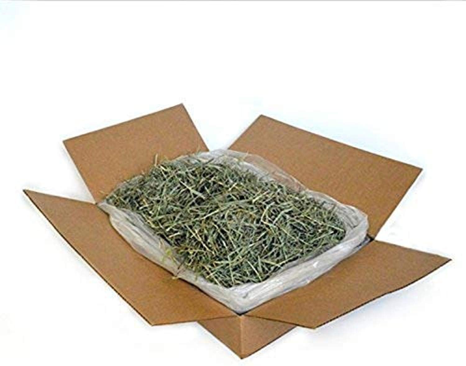 American Pet Timothy Gold 5Lb