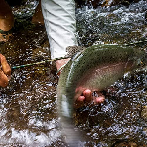 Temple Fork Outfitters (Tfo) Trout-Panfish Lightweight Portable Fast Action Freshwater Fishing Rod 5'6'' Ul 1Pc. #TOP3