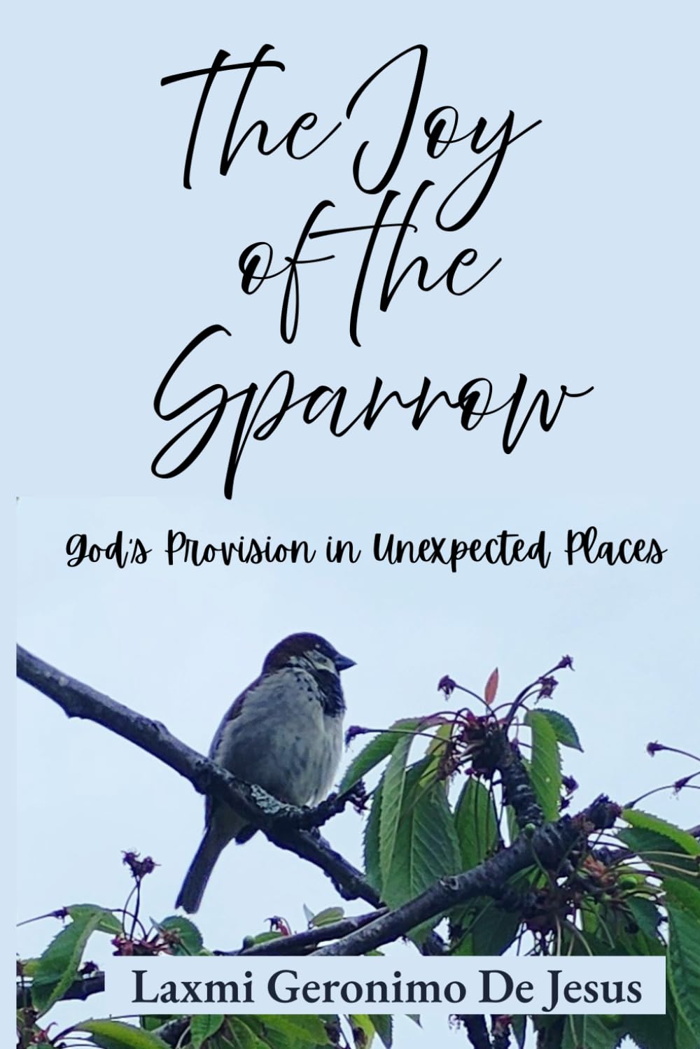 The Joy of the Sparrow: God's Provision in Unexpected Places (Hope Series)