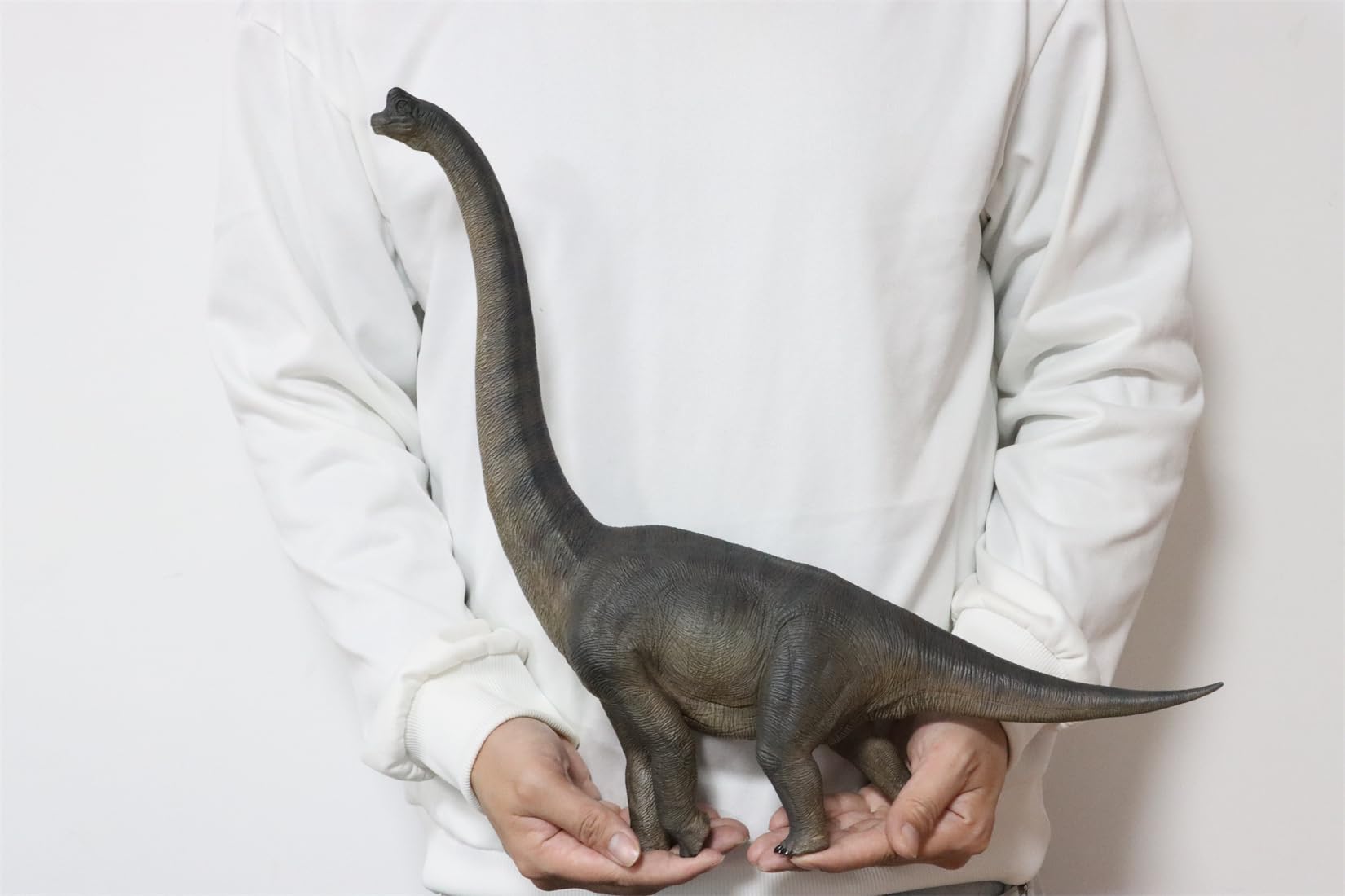 Nanmu 本心楠改 ブラキオサウルス フィギュア Amazon.co.jp: Nanmu 本心楠改 ブラキオサウルス 53cm 恐竜 模型