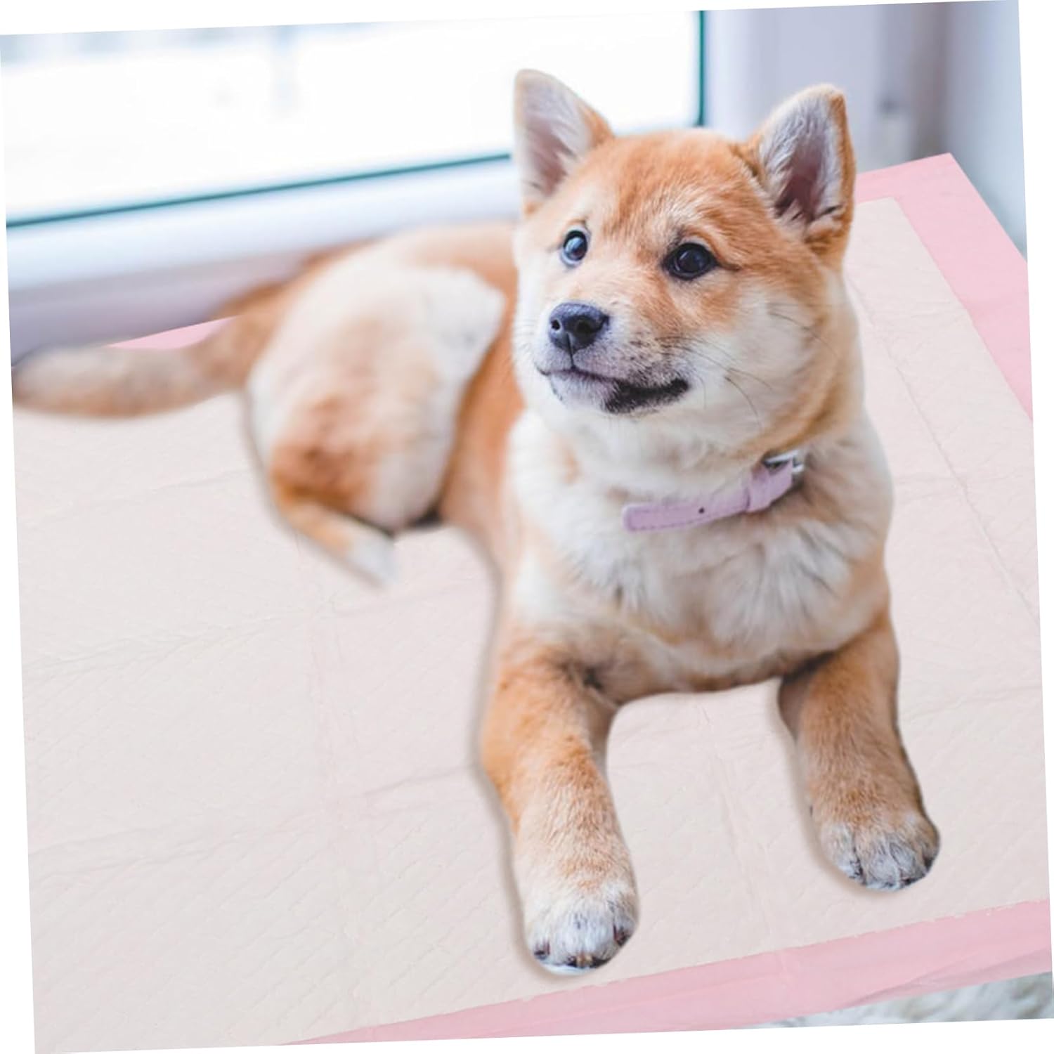 Yardwe Thickened PET Training Pads Large 60x60cm 40 Pieces Water Absorbent Dog Diapers Leakproof Puppy Pads for Indoor Use for Housebreaking and Potty Training