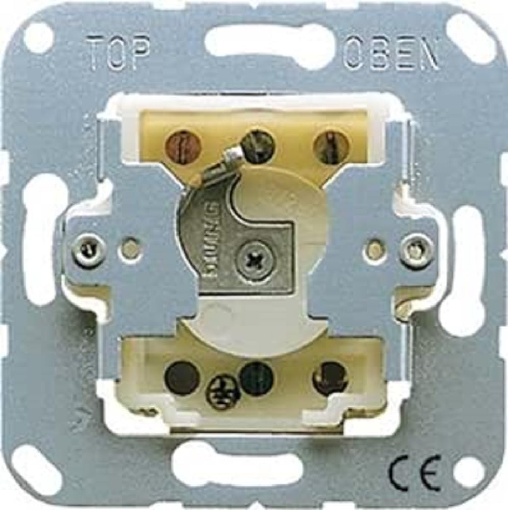 JUNG Cd134.18wu commutateur à clé encastré gris pour commande de moteur