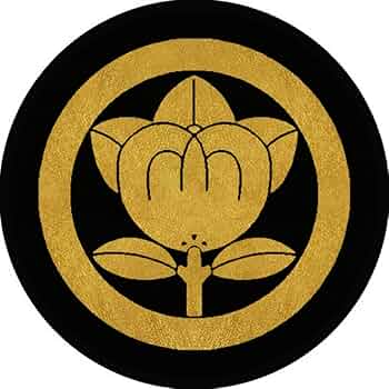 61RGit1SQSL._AC_UF350,