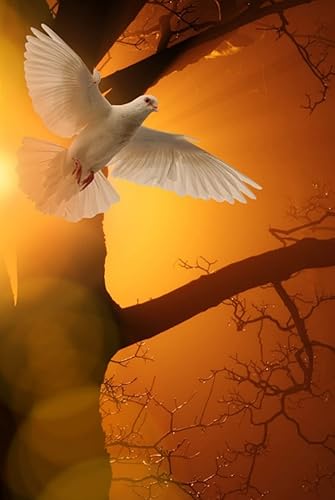 White Dove Unlined Notebook 6x9 in (15.24x22.86 cm) Plain White Dove Composition Notebook, Perfect for Drawing, Writing, Journaling