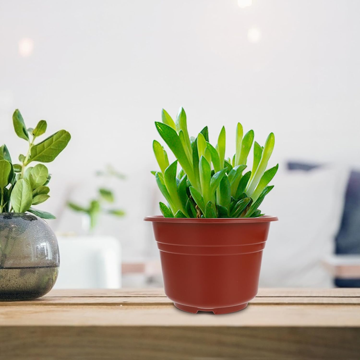 ibasenice 50pcs Succulent Flower Pots Nursery Garden Planting Containers Red Plastic Pots 18.5cm Diameter with Drainage for Indoor Outdoor Gardening and Seedling Cultivation