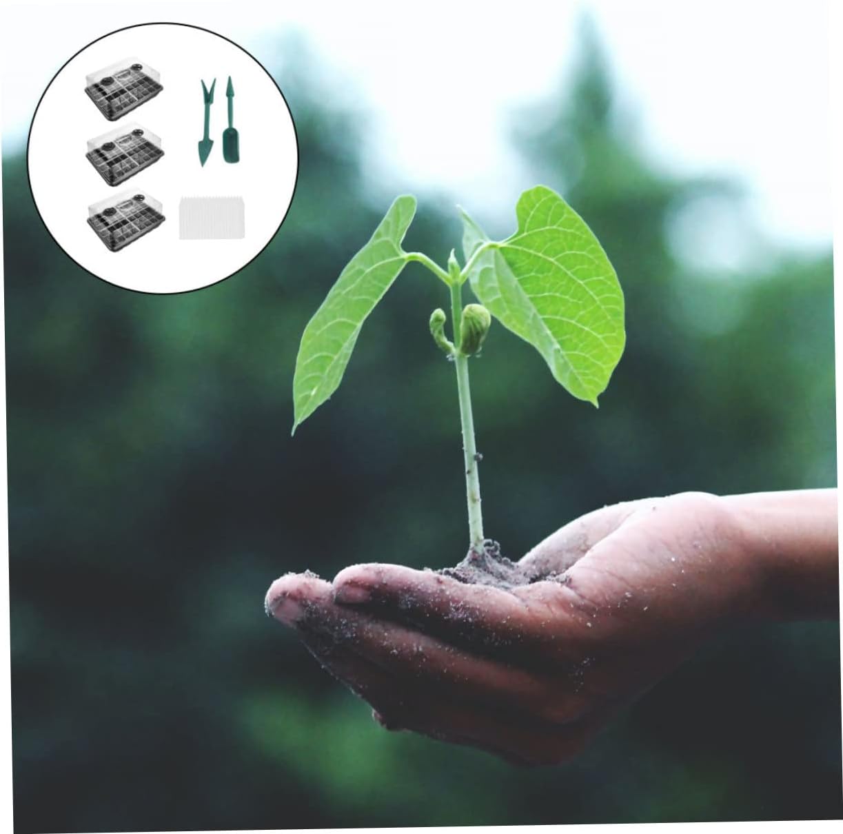 1set Plant Germination Trays Plant Growing Trays Gardening Tools for Starting Cloning and Growing Microgreens Material for Optimal Growth Environment