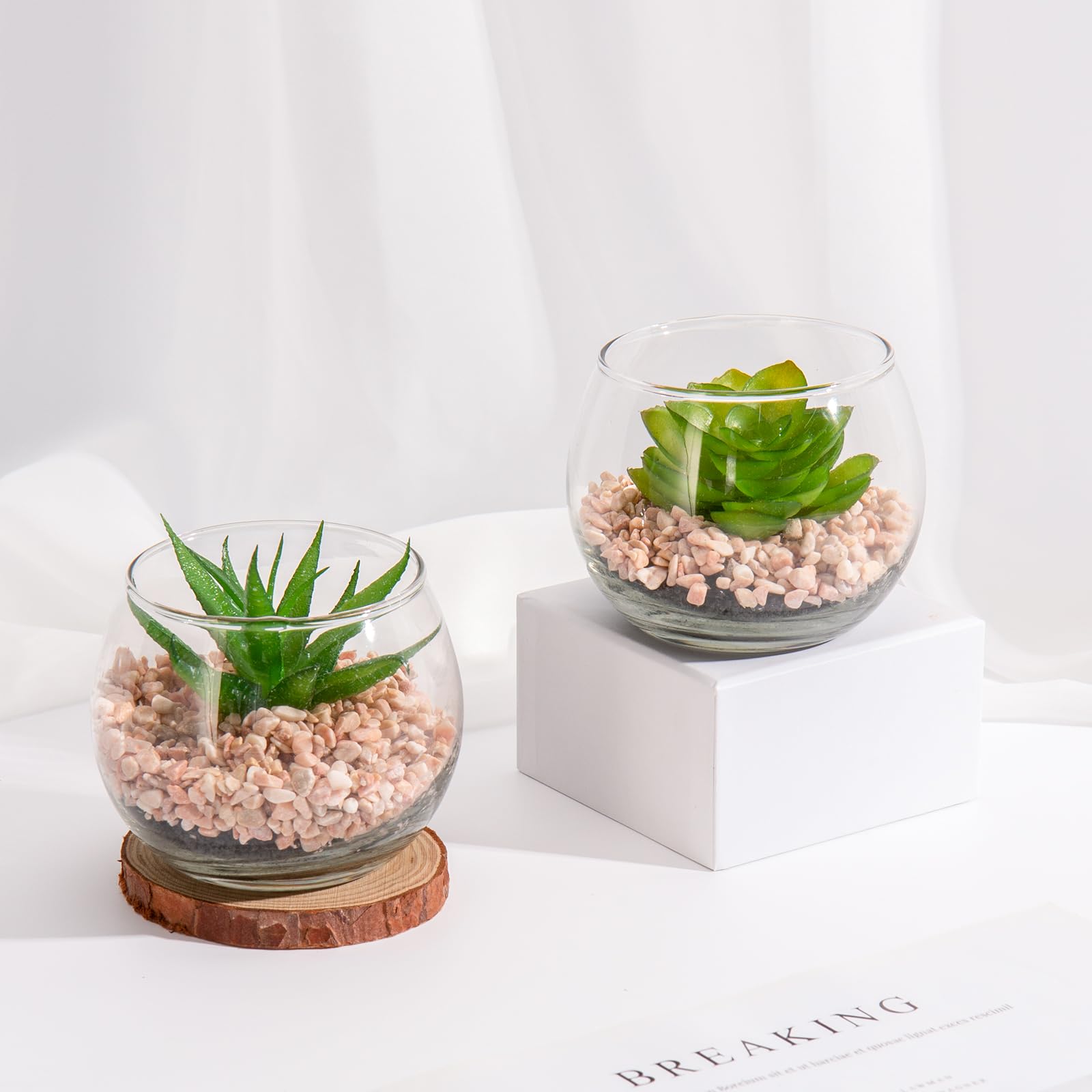 Briful Lot de 4 petites plantes succulentes artificielles en pot, fausses plantes grasses décoratives dans des pots géométriques en verre pour la maison, le bureau, la cuisine, la salle de bain, la