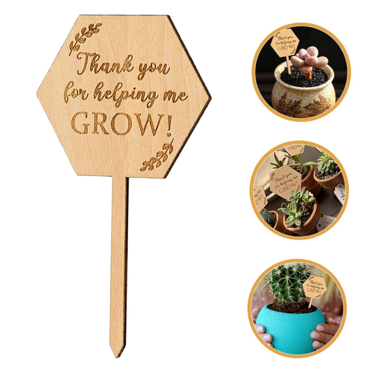 ifundom 5 Set Carta Succulenta Marcatori Da Giardino Etichette Delle Piante Pianta All'aperto Pannelli Di Identificazione Dei Fiori Dell'etichetta Del Vaso Di Legno 20 Pezzi * 5