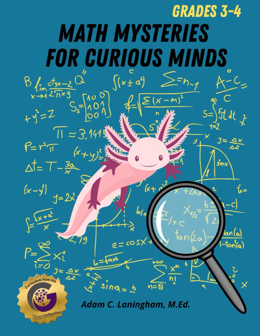 Math Mysteries for Curious Minds - Grades 3-4: When Kids Need A Good Challenge