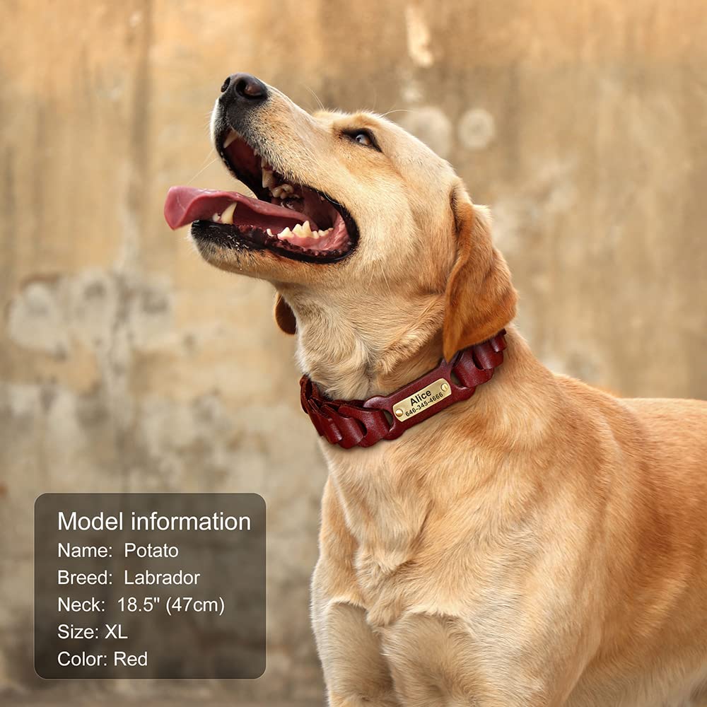 Collare per Cani in Vera Pelle Collari in Pelle per Animali Domestici Personalizzati con targhetta identificativa Targhetta Anti-smarrimento Regolabile per Cani di Taglia Piccola e Media