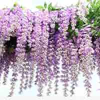藤の造花 シルク 藤の花　リース 長さ39.4インチ パーティー ステージ Amazon｜Lakymisy 藤の花 2本入 造花 藤ガーランド つる ふじの