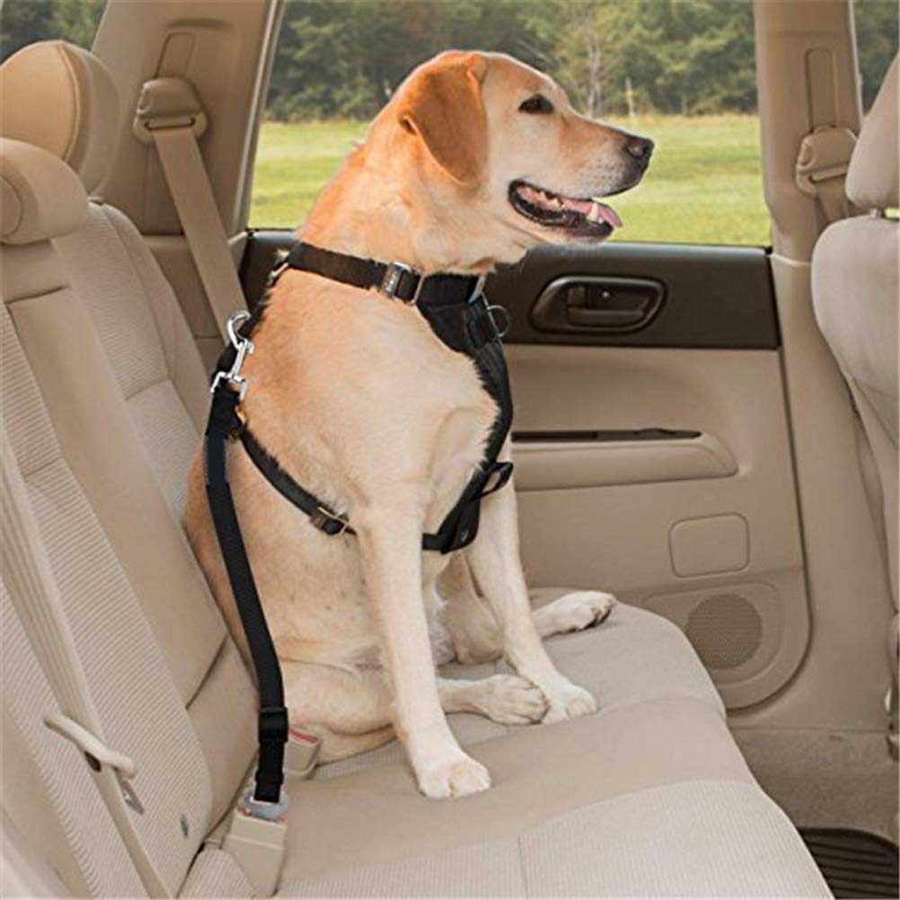 Voiture Ceinture de Securite pour Chien Indéchirable Réglable, 2 Pcs Harnais Voiture Chien Voiture Universel