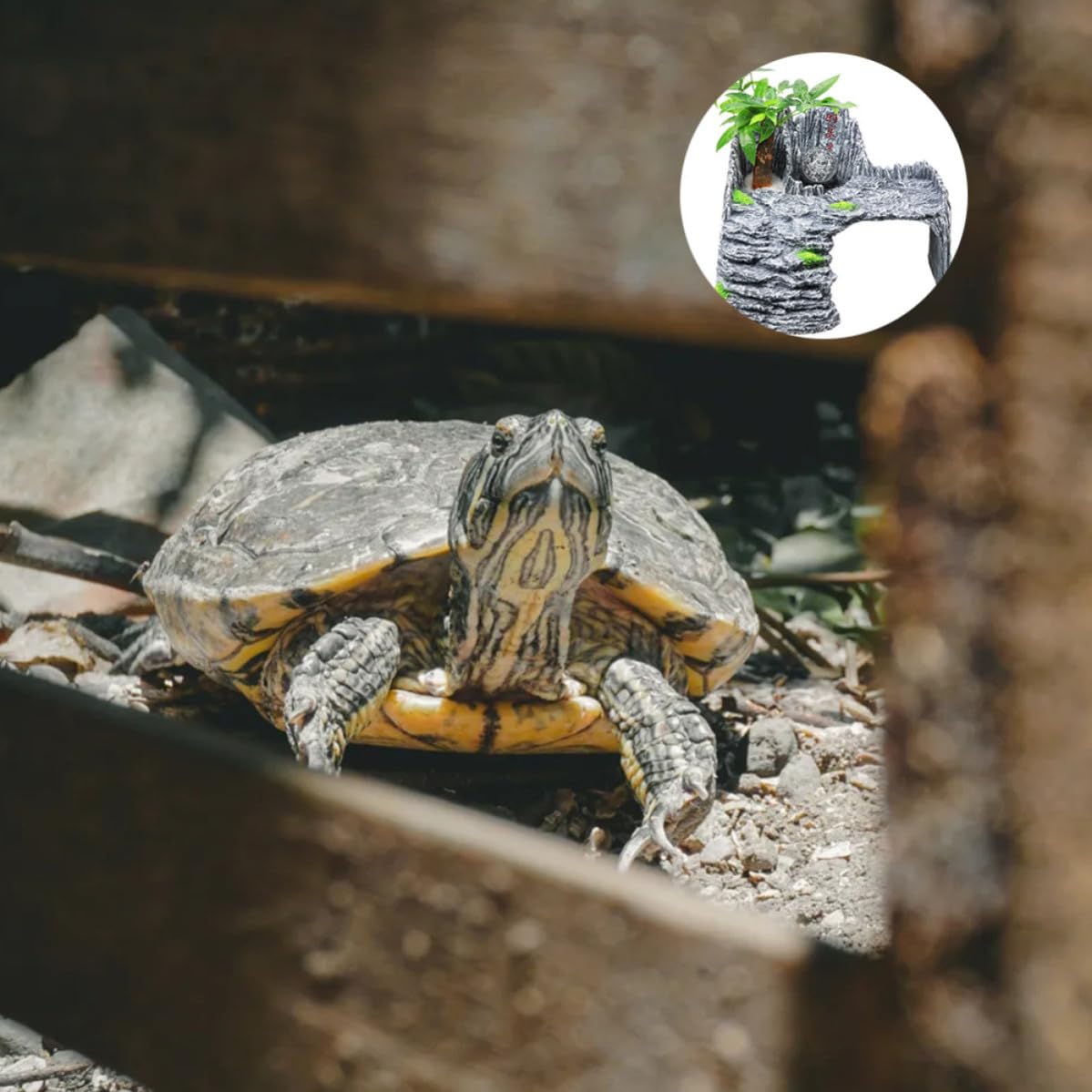 Aquarium Tank Props Für Schildkröten, Schwimmende Kletterplattform Aus Kunstharz, Leicht Zu Reinigen, Ideal Für Reptilien Lebensraum