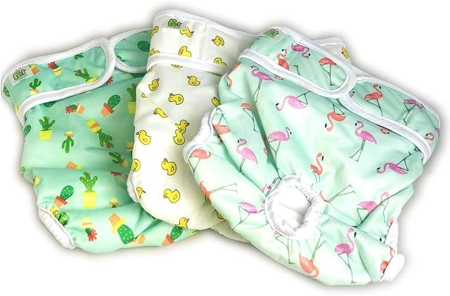 Reusable Dog Nappies - Sanitary Pet Diapers, Highly Absorbent, Machine Washable & Eco-Friendly, 3-Pack (Trending, Large)
