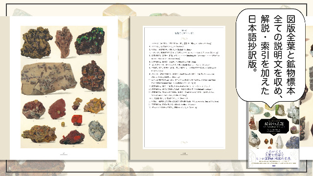 鉱物の王国 Das Mineralreich: アンティーク鉱物画コレクション