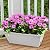 8pcs Window Box Planter, 17 Inches Flower Window Boxes, Rectangle Planters Box with Drainage Holes and Trays, Plastic Vegetable Planters for Windowsill Patio Garden Home Decor Porch Yard (Grey)