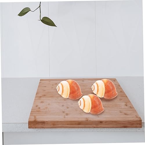 Miniatura 4 de 5 unidades de caracoles naturales para hornear conchas de aislamiento térmico para restaurantes y cocina casera decorativa