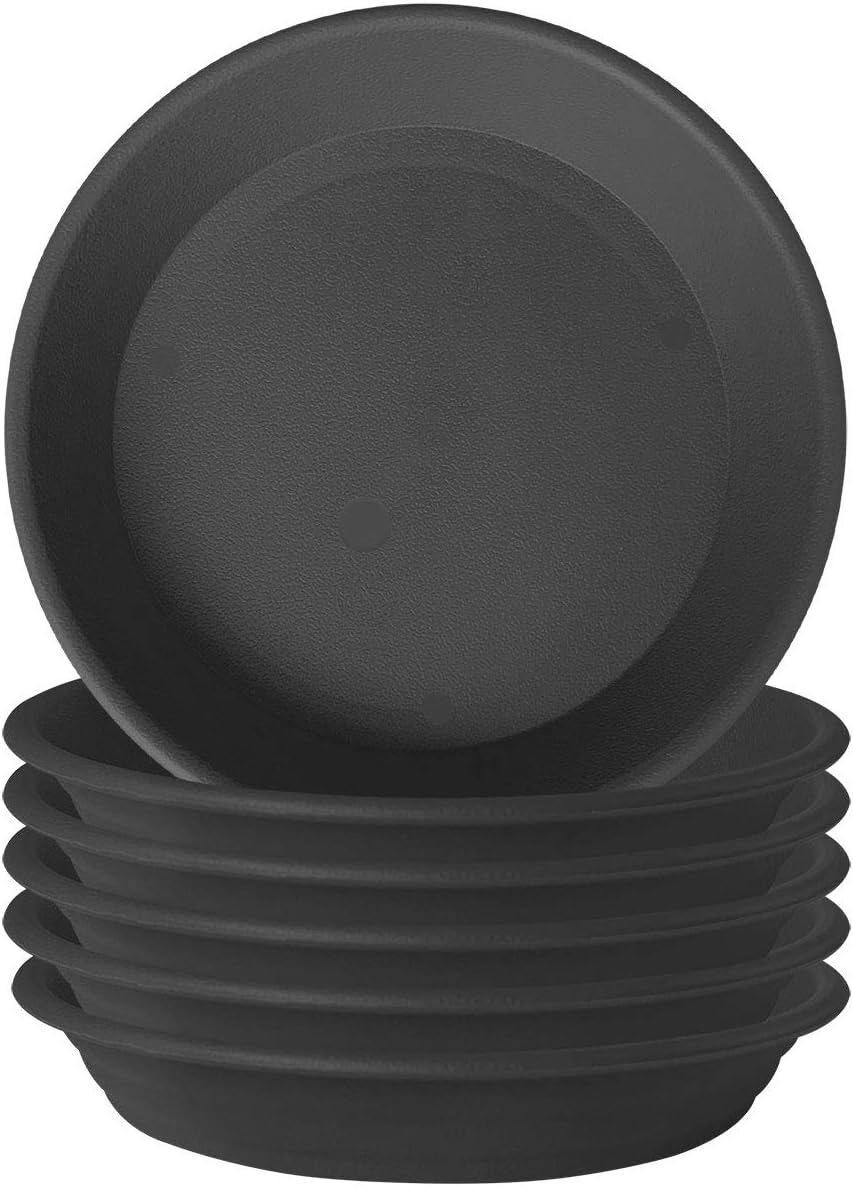 GREGICH 6 Pack Plastic Plant Saucer Drip Trays, 4 6 8 10 12 Inch Plant Saucers for Indoors Outdoor Plant, Thick Heavy Durable Sturdy Flower Pot Saucers Plant Trays for Pots Planter : Garden & Outdoor