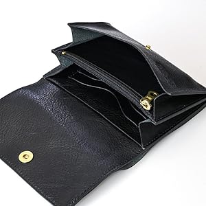 Amazon | [イルビゾンテ] 二つ折財布 IL BISONTE C0522 P Black