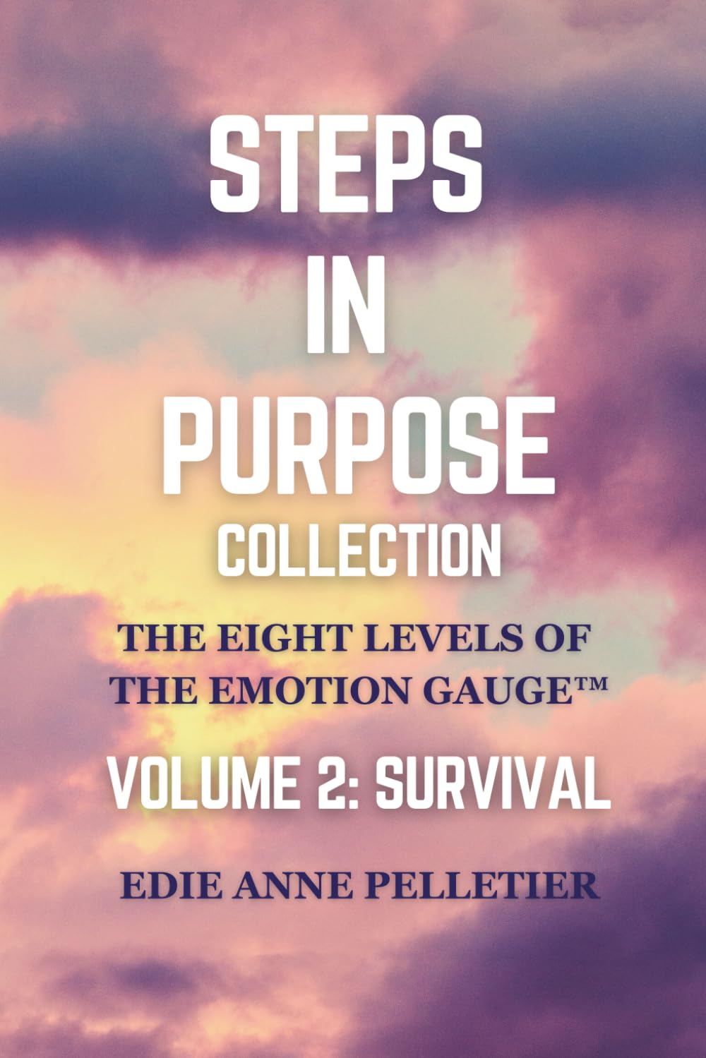 Steps in Purpose Volume 2: Survival: The Eight Levels of The Emotion Gauge: Getting Emotionally Unstuck (Steps in Purpose Collection)